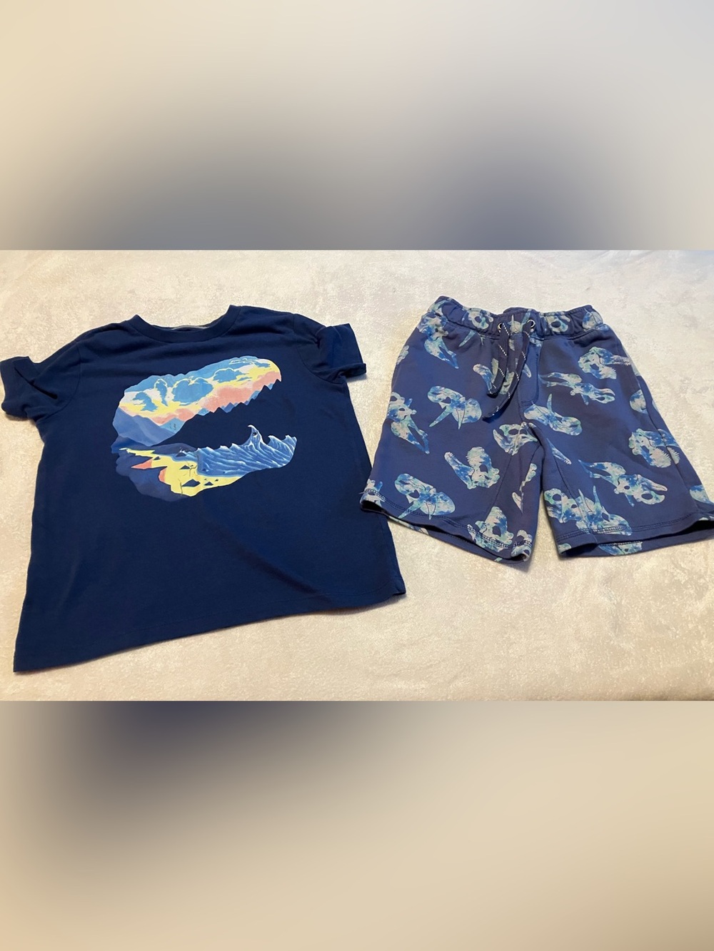 Blue Dinosaur Graphic Tee & Shorts Set